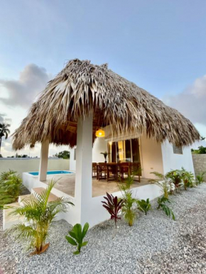 Dreams House Playita